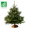 sapin de noel BIO valognes - sapin de noel BIO cherbourg - sapin de noel BIO cotentin - sapin de noel BIO avec buche